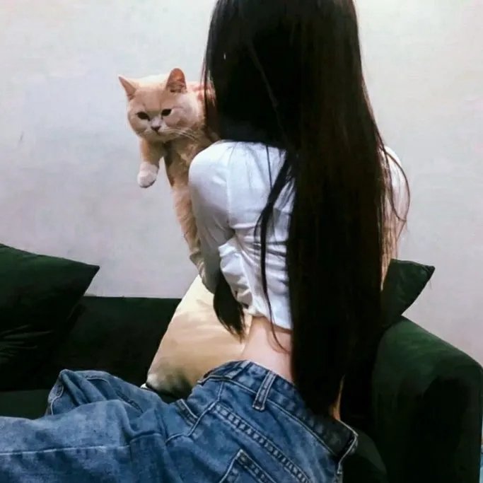 好莱坞,我爱你